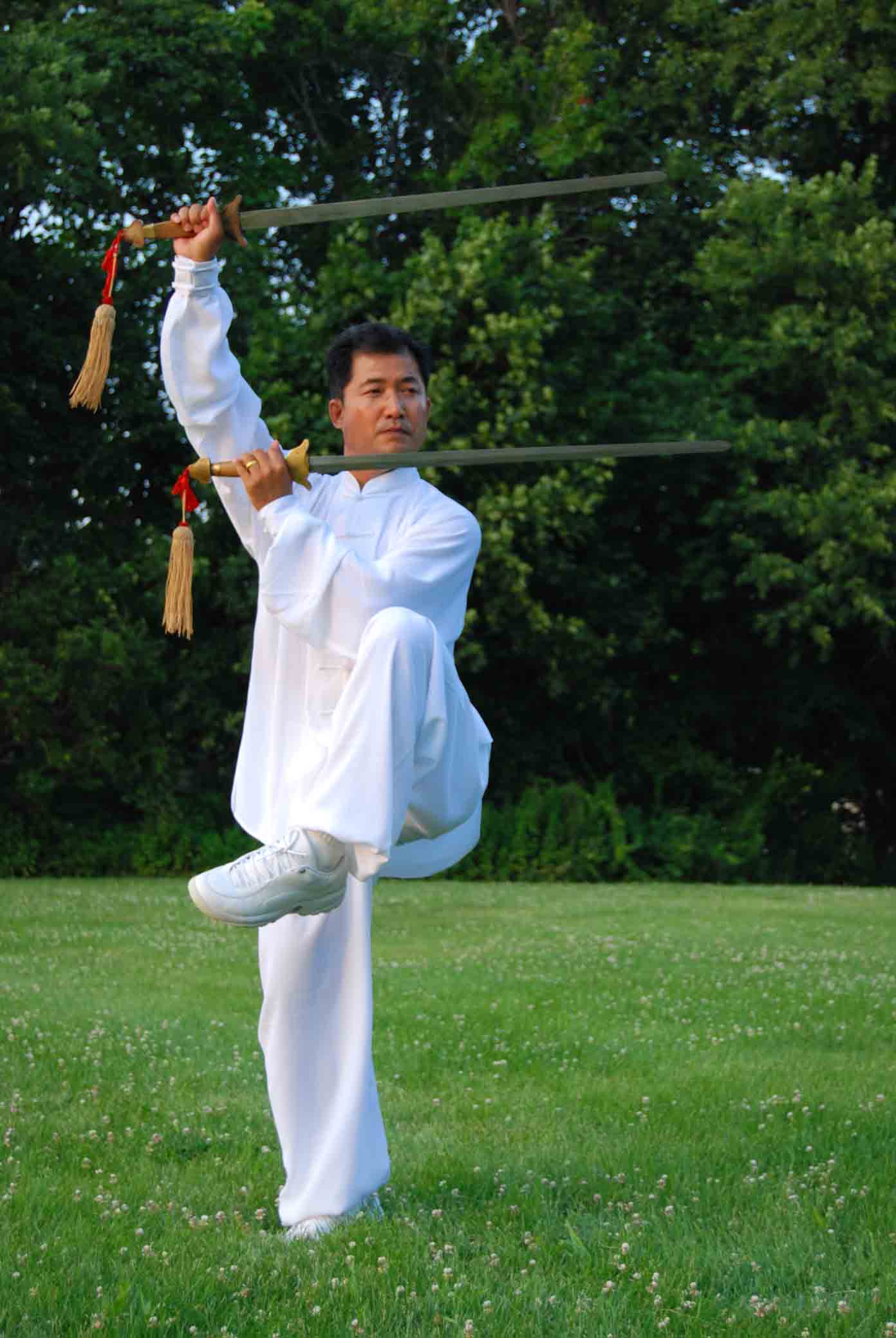 Dual Sword