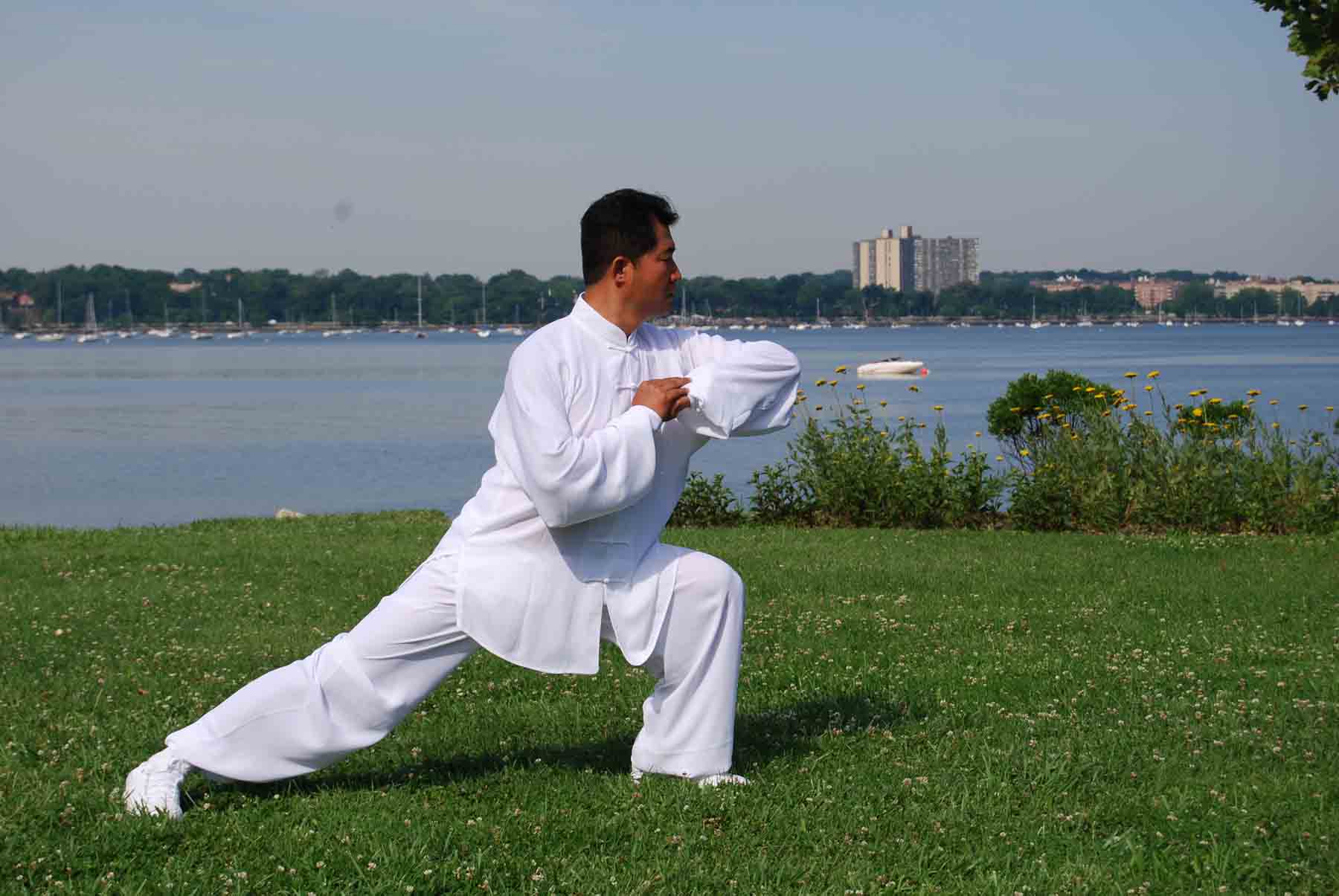 Chinese Gong Fu Fist